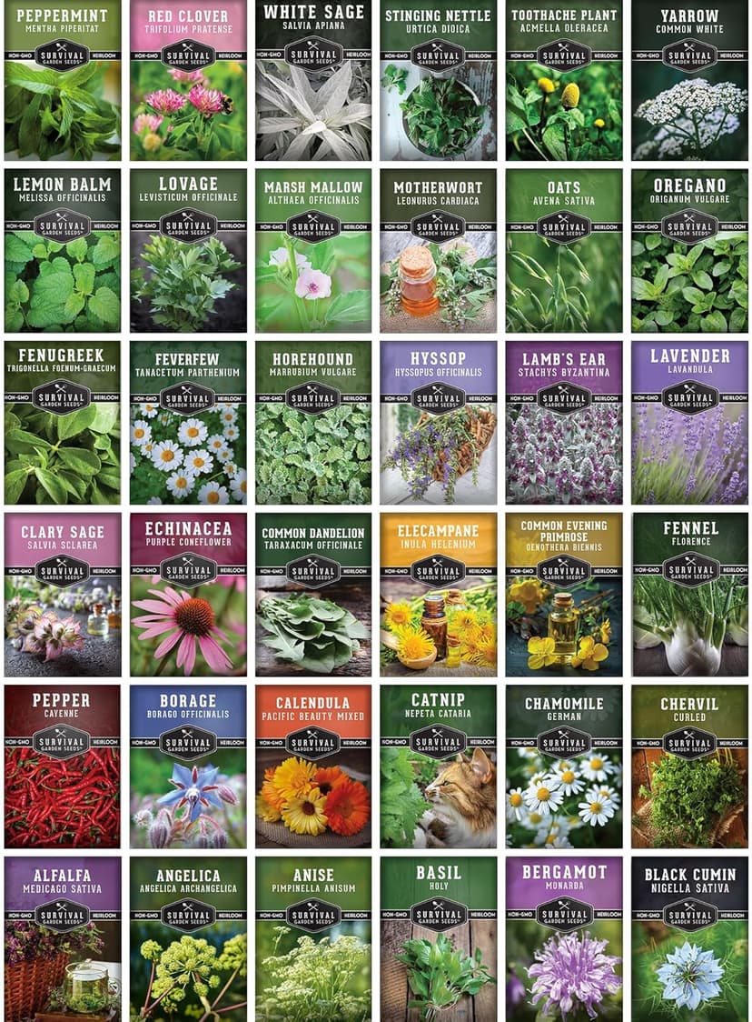 Ultimate Medicinal Herbs 36 Variety Pack - 28,000+ Herb Seeds for Planting Essential Healing Plants - Mixed Assortment with Culinary, Medicinal, Tea Herbs - Non-GMO Heirloom - Survival Garden Seeds