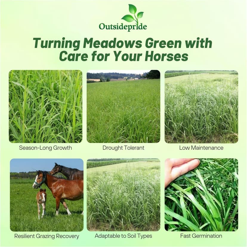 Outsidepride Horse Choice Pasture & Livestock Grass Seed Mix - 25 Lbs Perennial, Drought Tolerant, Cold Hardy, & High Yield Lawn Grass Seeds for Grazing, Hay, Silage, & Greenchop
