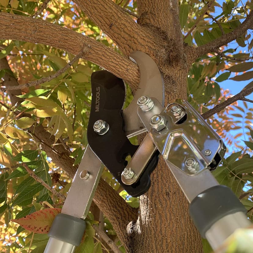 Ratcheting Extendable Bypass Lopper for Gardening - Heavy Duty Ratchet Lopper 39½" Extendable Long Handle – Chops Through 1-3/4” thick Branches – Ideal for All Gardening Enthusiasts - L8230