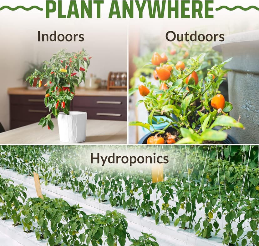 Rooted Acre 8 Varieties Hot Peppers – 240 Heirloom Seeds, 𝗡𝗢𝗡-𝗚𝗠𝗢 𝗨𝗦𝗔-𝗦𝗢𝗨𝗥𝗖𝗘𝗗, High Germination – Includes Ghost, Jalapeño, Serrano, California Wonder & More – Spicy Pepper Garden Mix