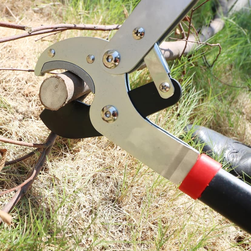 GARTOL Anvil Lopper with Compound Action 29 Inch Heavy Duty Tree Branch Cutter, 2 inch Cutting Capacity Tree Trimmer, with Ergonomically Designed Non-Slip Handles