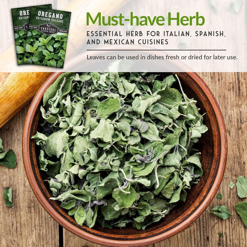 1 Pack Oregano Seed for Planting - Packet with Instructions to Grow in Origanum Vulgare Herbs Your Home Vegetable Garden - Non-GMO Heirloom Variety - Survival Garden Seeds