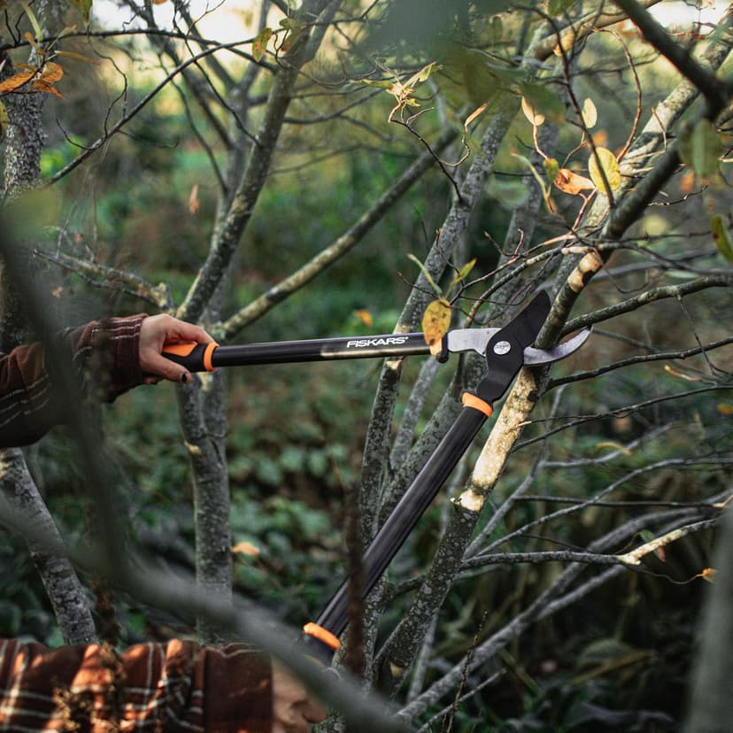 Fiskars Bypass Lopper, Lightweight Tree Pruning Tool, Rust Resistant and Low Friction Coating, SoftGrip Handle Control with Shock-Absorbing System, 24 inches
