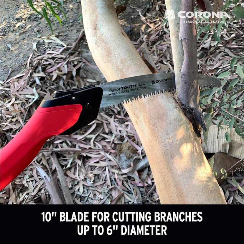 Corona Tools 10-Inch RazorTOOTH Folding Pruning Designed for Single Use | Curved Blade Hand Saw | Cuts Branches Up to 6" in Diameter | RS16150, Red