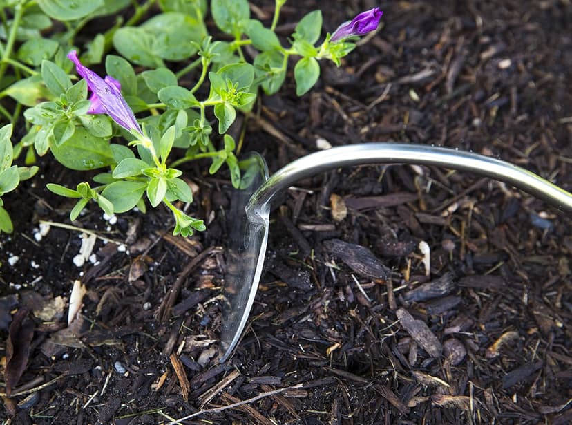 Stainless Steel Hand Onion Hoe