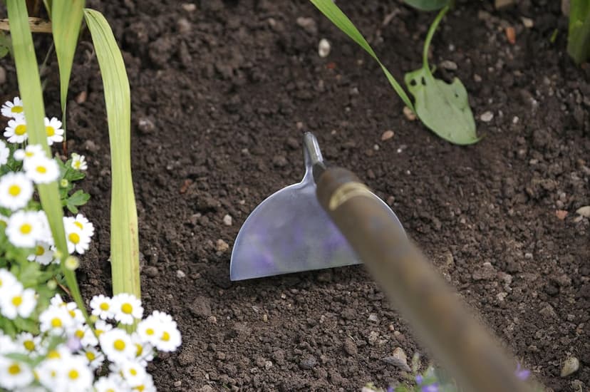 Stainless Steel Long Handled Draw Hoe