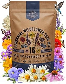 Organo Republic 16 Perennial Wildflower Seeds Mix for Indoor & Outdoors. 100,000+ Non-GMO, Heirloom Wildflower Garden Seeds, 4oz Packet for Growing Wild Flowers to Attract Bees, Butterflies & Birds
