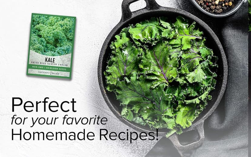 Gardeners Basics, Kale Seeds for Planting, Heirloom, Non-GMO Vegetable Variety - Great for Indoor, Outdoor, and Hydroponics Gardening (Vates Blue Scotch Curled)