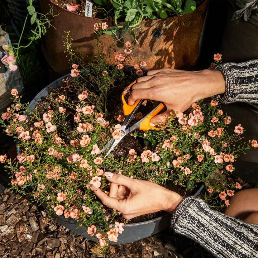 Fiskars Comfort Loop Micro-Tip Pruning Snips - 7" Garden Shears with Sheath and Extra Large SoftGrip Handle - Yard and Garden Tools - Orange/Black