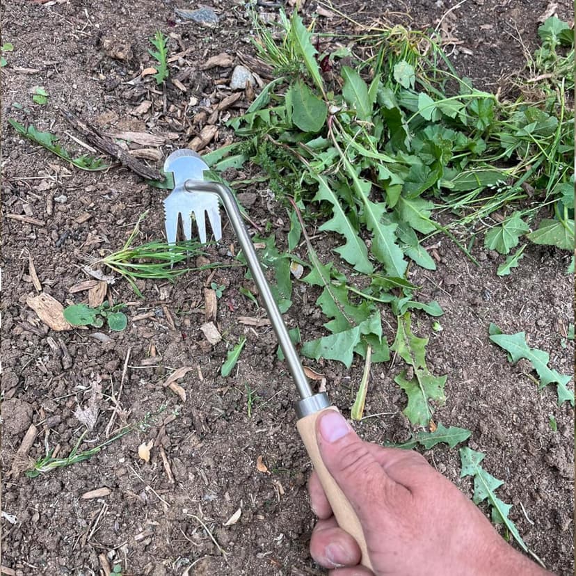 Weeding Artifact Uprooting Weeding Tool, Garden Weeding Tools Hand Weeder Tool, Stainless Steel Weed Puller 4 Teethes Dual Purpose Weeder, Multifunctional Weeder Manual Weed Remover Tool (Wood-12inch)