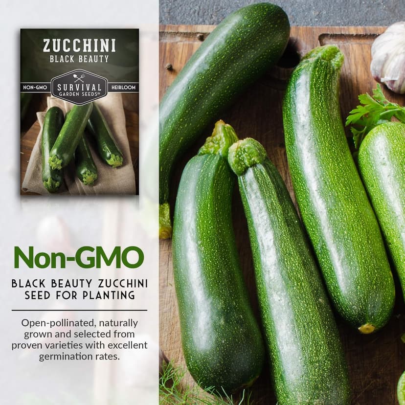 Survival Garden Seeds - Black Beauty Zucchini Seed for Planting - 1 Pack with Instructions to Plant & Grow Dark Green Summer Squash Plants in Your Home Vegetable Garden - Non-GMO Heirloom Variety