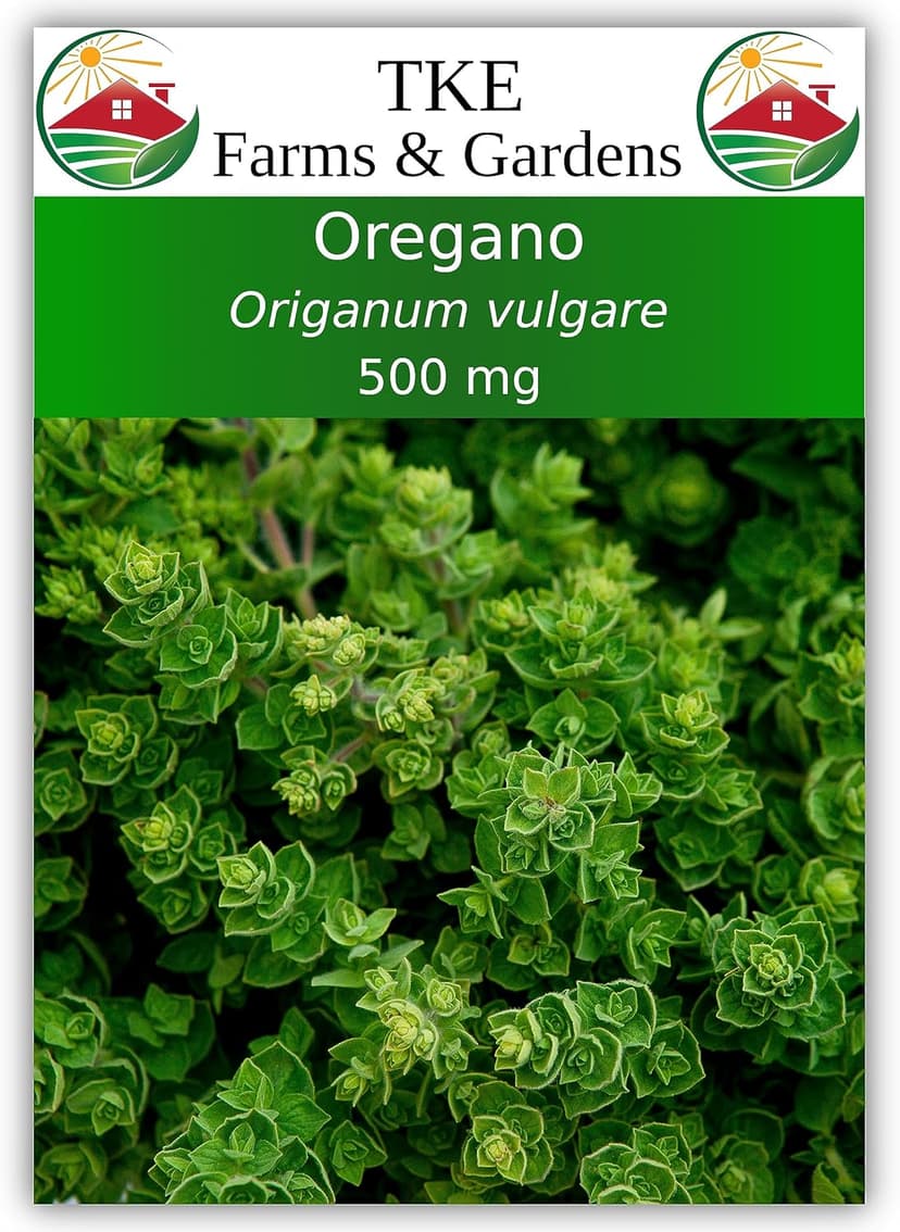 Oregano Seeds for Planting, 3000+ Non-GMO Heirloom Seeds, 500mg, Open Pollinated Perennial Herb, Origanum vulgare, for Indoor & Outdoor Gardens, Qty 1