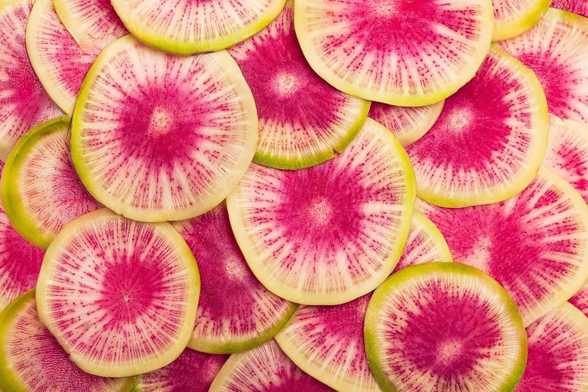 “Watermelon” Radish Seeds – Fast Growing Radish with a Pink Center – Harvest in 60 Days | Never GMO, Always Heirloom and Open-Pollinated | USA Grown Seeds by Liliana's Garden |