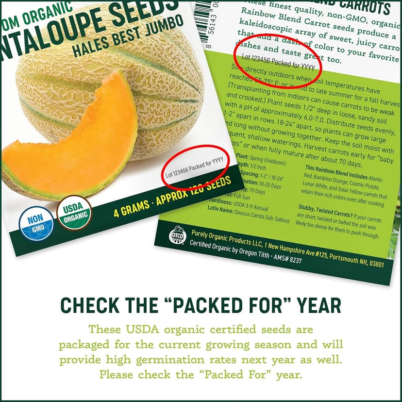 Organic Cucumber Seeds (Marketmore 76) - Approx 100 Seeds - USDA Organic, Non-GMO, Open Pollinated, Heirloom, USA Origin