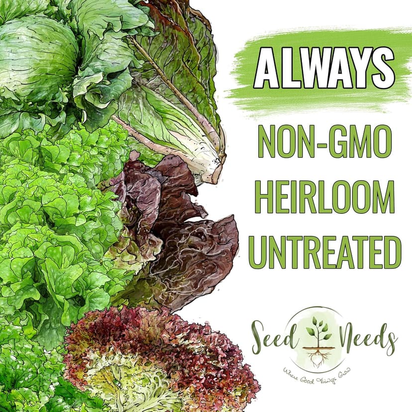 Seed Needs Lettuce Seeds for Planting - Non-GMO Heirloom & Untreated - Grow a Home Grown Outdoor Garden or an Indoor Hydroponics Garden - Homestead Sampler Kit (14 Packs)