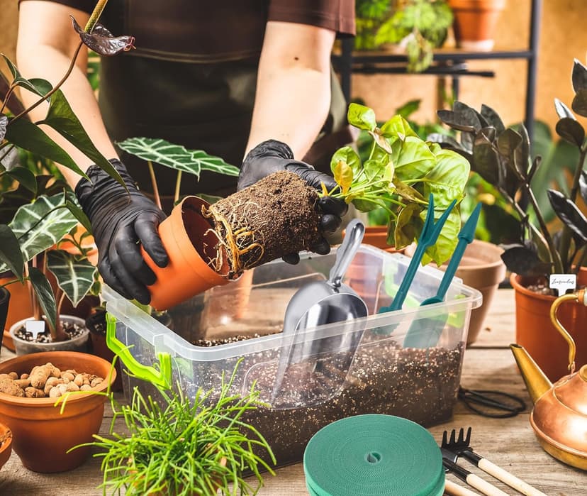 Indoor Houseplant Care Kit – Complete Indoor Plant Maintenance Set with Pruning Shears, Soil Scoop, Dibber Tool, Leaf Cleaning Glove, Soil Moisture Meter, Plant Labels, and Tie Tape for Potted Plants