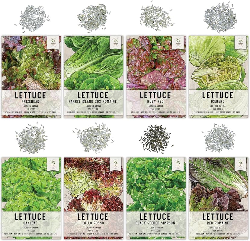 Seed Needs, Lettuce Seeds Variety Pack (Lettuce Lovers Collection) Iceberg, Red Romaine, Parris Island COS, Lollo Rosso, Ruby Red, Oakleaf, Black Seeded Simpson & Prizehead