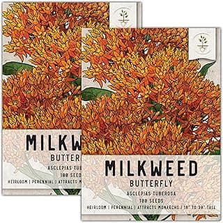 Seed Needs Orange Butterfly Milkweed Seeds for Planting - Heirloom & Untreated - Grow a Butterfly Garden to Attract Monarch Butterflies & Pollinators (2 Packs)