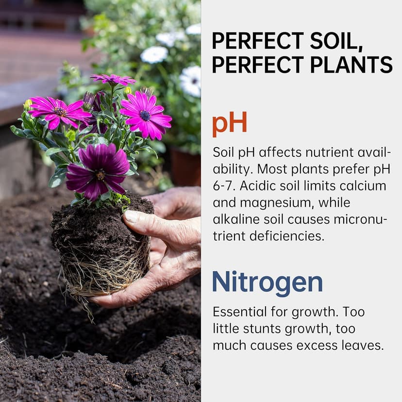 AAwipes Soil pH & Nitrogen Test Kits 2 in 1 Soil Testing Kits with Test Tube 100 Pcs Test Soil for Garden Lawn Grass Flower Vegetable Compost Nutrients Plants (J02-100)