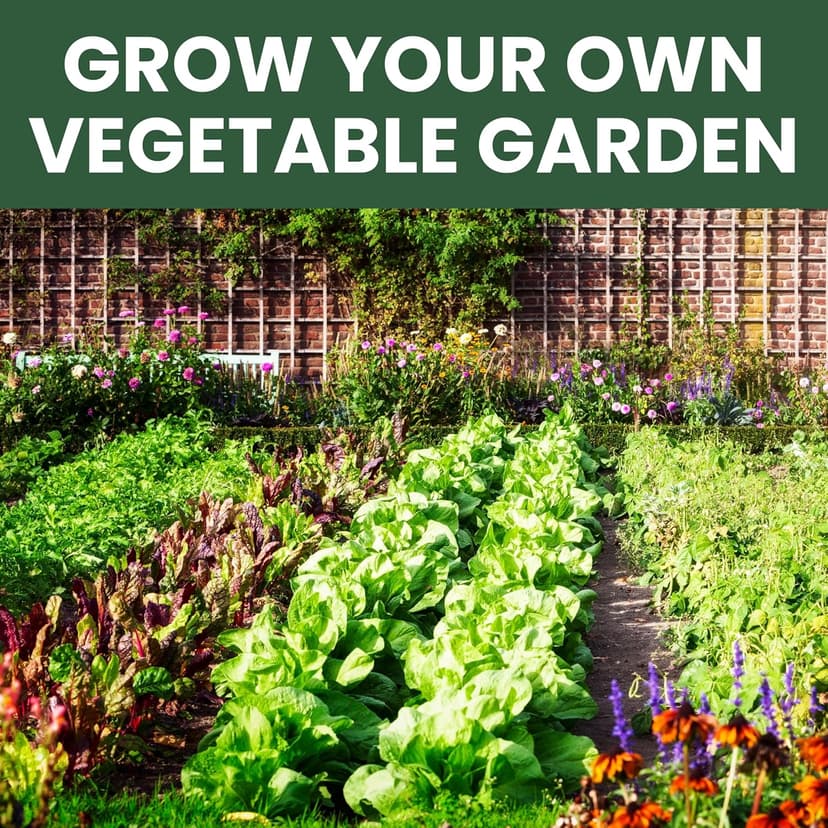 35 Vegetable Seeds | Survival Variety Pack | 2025 Season | Individually Packed Vegetables, Herbs and Fruits | Emergency Seed Vault for Doomsday Prepping | by Family Sown