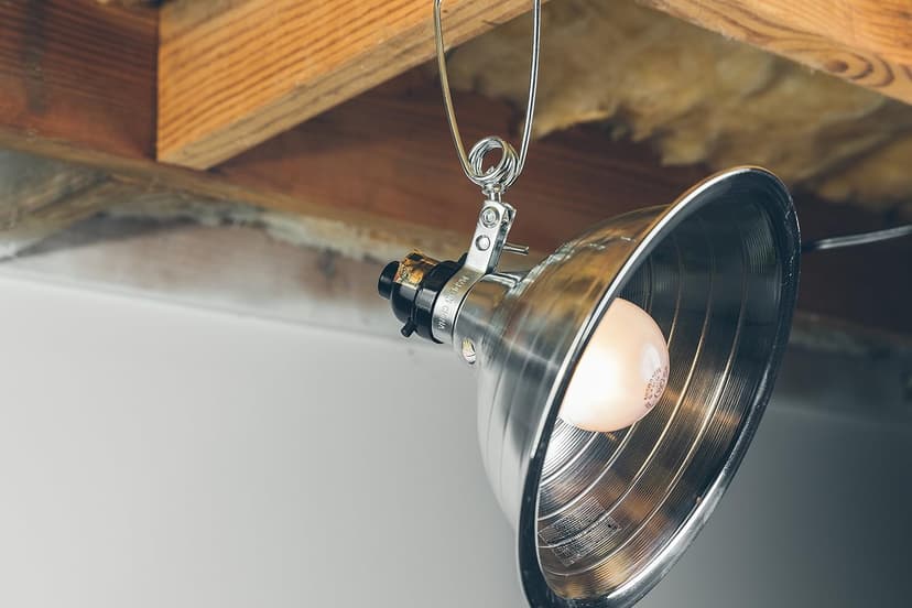 Woods Clamp Lamp Light with Aluminum Reflector; 150W; UL Listed; 6- Foot Cord