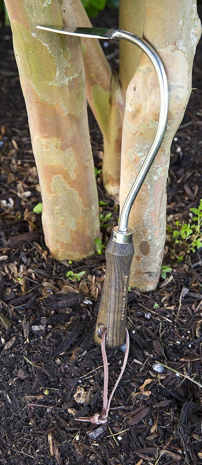 Stainless Steel Hand Onion Hoe