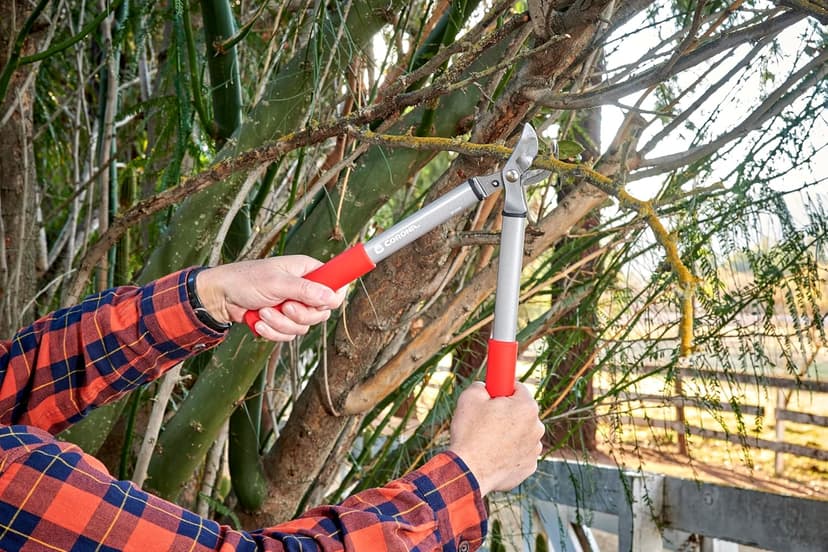 Corona BP 3225D Forged Steel ClassicCUT Bypass Hand Pruner - 3/4 inch Cut Capacity Stem and Branch Garden Shears, Red