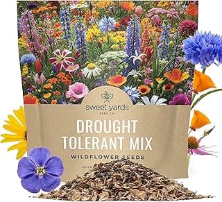 Drought Tolerant Wildflowers Mix – Extra Large Packet – Over 7,500 Open Pollinated Non-GMO Seeds – 21 Different Dryland Species