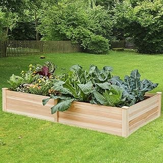 8x4 Ft Wood Raised Garden Bed, Durable 15 Inch Depth Planter Box for Vegetables, Herbs, and Flowers, Ideal for Outdoor Gardening with Open Base