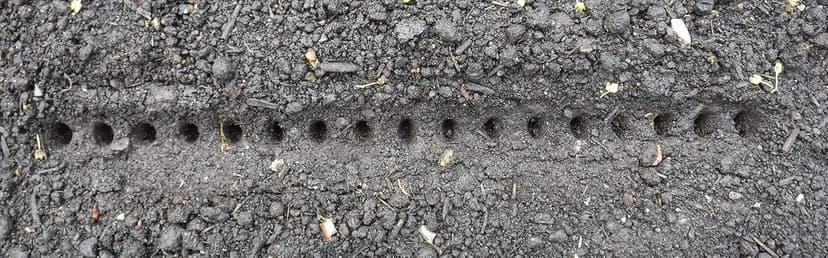Seed-in Soil Digger and Soil Spacer for Planting Seeds