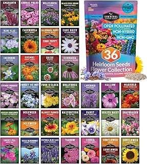 Survival Garden Seeds Functional Flower Garden Kit | 36 Pack Seed Starter Collection | Bee, Butterfly, Hummingbird, Pollinator-Friendly Blooms | Non-GMO Heirloom Beneficial Flowers & Wildflowers