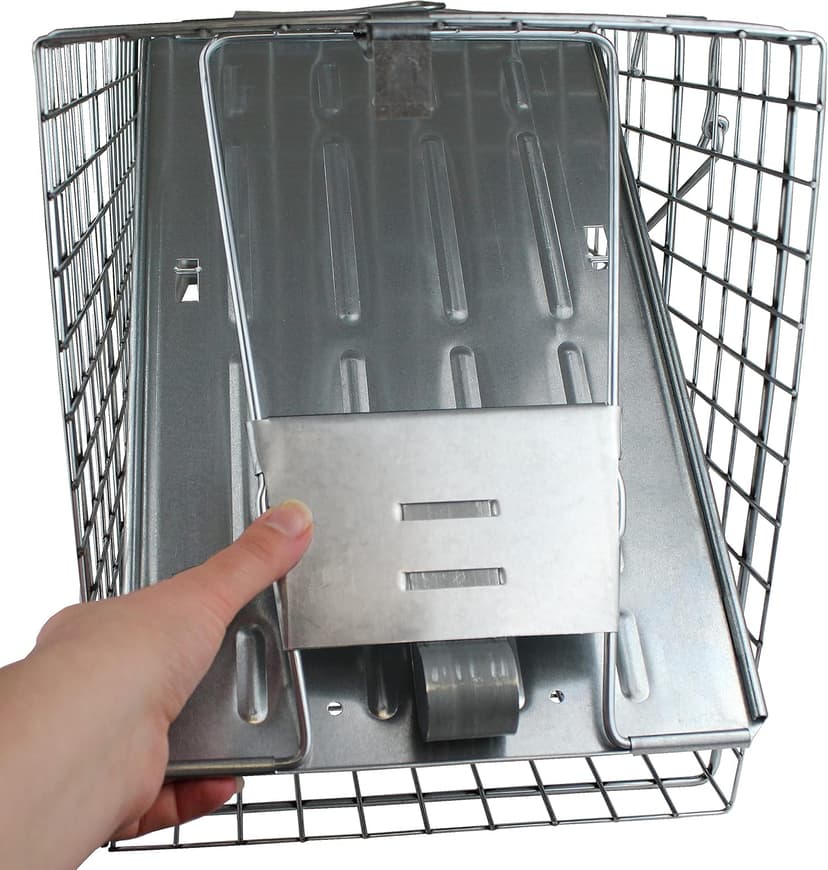HAVAHART 1079SR Large 1-Door Humane Catch and Release Live Animal Trap Cage - Live Raccoon Trap, for Bobcats, Beavers, Dogs, & More