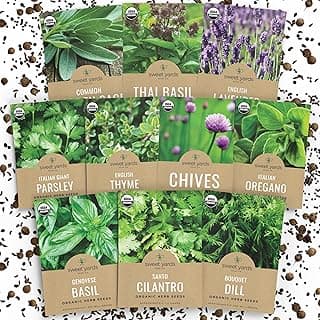 The 15 best basil seeds of 2025