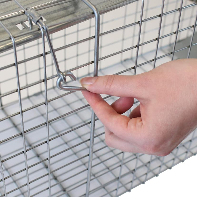 HAVAHART 1079SR Large 1-Door Humane Catch and Release Live Animal Trap Cage - Live Raccoon Trap, for Bobcats, Beavers, Dogs, & More