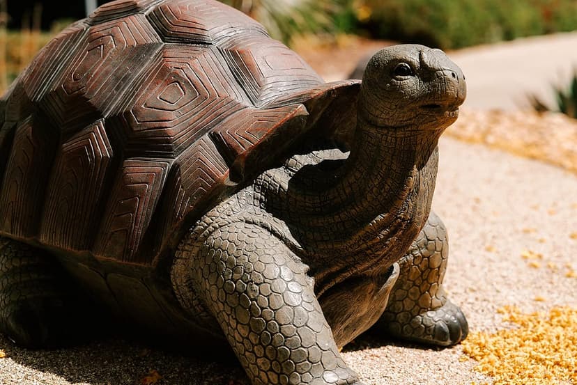 XBrand 28" L Brown and Black Concrete/MgO Walking Tortoise Statue, Indoor or Outdoor Décor, Garden Sculptures, Turtle Garden Statue