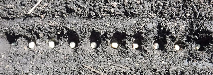 Seed-in Soil Digger and Soil Spacer for Planting Seeds