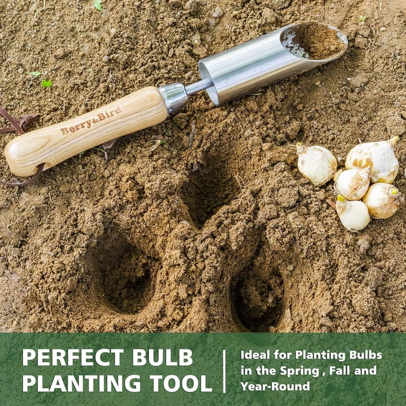 Bulb Planter Tool, 12" Garden Bulb Transplanter Tool, Stainless Steel Manual Hole Digger with Wooden Handle, Transplanting Agricultural Dibble Tool for Seed Planting & Flower Planter