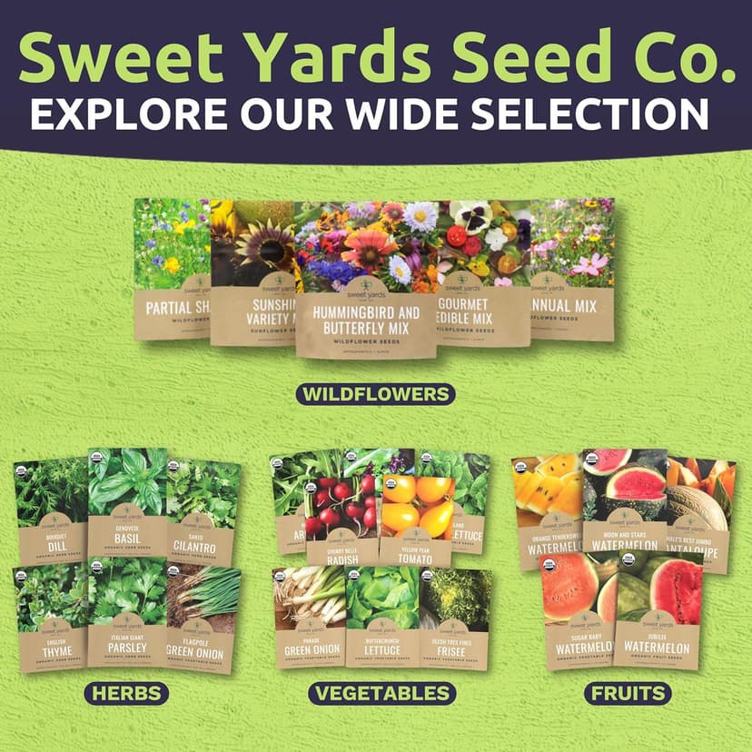 Organic Arugula Seeds - 2 SEED PACKETS! - Over 1,000 Open Pollinated Non-GMO USDA Organic Seeds