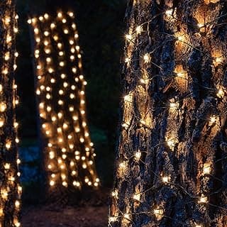 Clear Christmas Trunk Wrap Lights with 100 Lamps on Green Wire, 2' x 8'
