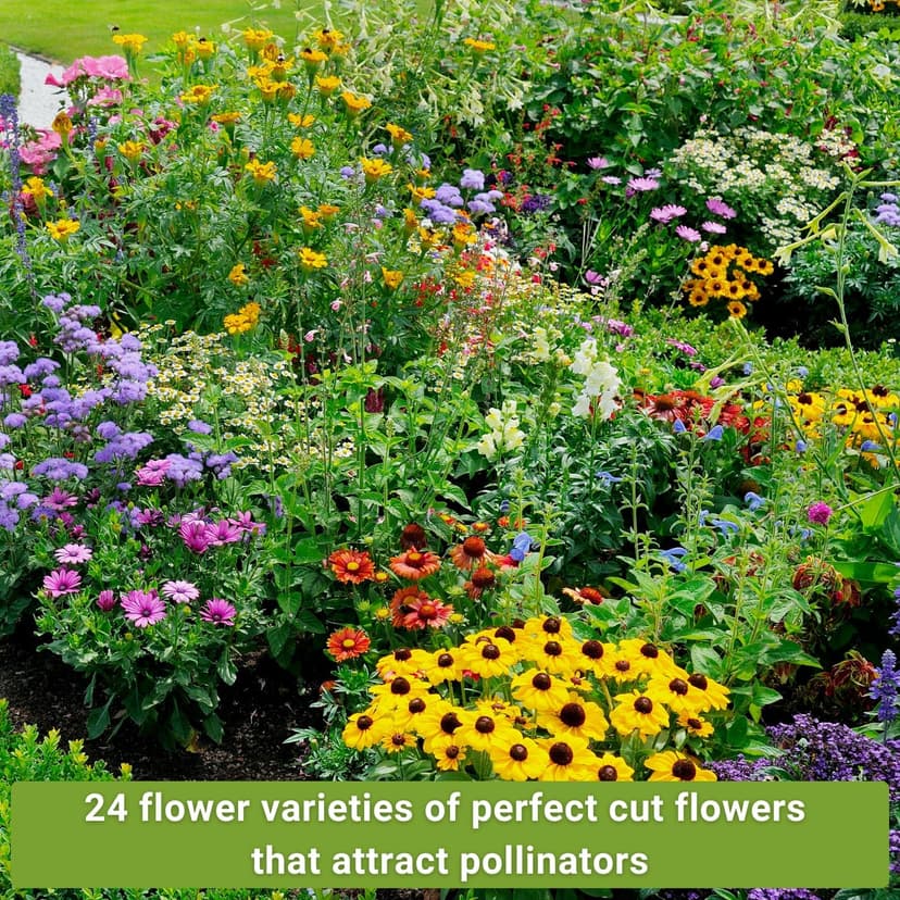 Sow Right Seeds - Large Flower Farm Seed Collection for Planting - Zinnias, Sunflowers, Daisies, Cosmos, Carnations, Stock & More - Attract Pollinators - Non-GMO Heirloom Varieties to Cut Bouquets