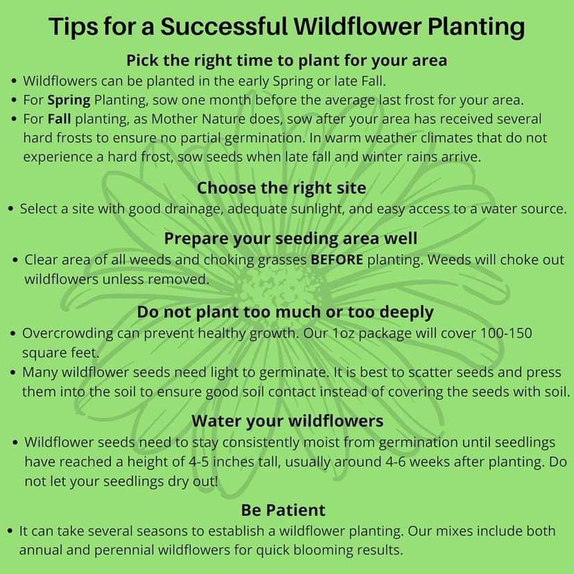 Monarch Butterfly Rescue Wildflower Seed Packet - 1oz, Open-Pollinated Wildflower, No Fillers, Annuals, Perennials and Milkweed Seeds for Monarch Butterfly 1oz
