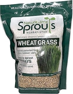 Nature Jims Sprouts Wheatgrass Seeds - 100% Organic Wheat Grass Seed for Sprouting - Cat Grass Planter Seeds, Rich in Vitamins, Fiber and Minerals - Non-GMO, Healthy Wheatgrass Sprout Growing Seed