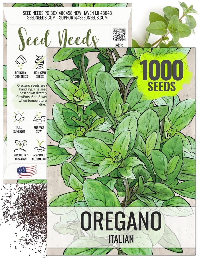 Seed Needs Oregano Seeds for Planting Italian Herbs - Non-GMO, Heirloom & Untreated Culinary Herb - Grow Indoors or Outdoors for a Kitchen Garden (1 Pack)