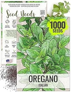 Seed Needs Oregano Seeds for Planting Italian Herbs - Non-GMO, Heirloom & Untreated Culinary Herb - Grow Indoors or Outdoors for a Kitchen Garden (1 Pack)