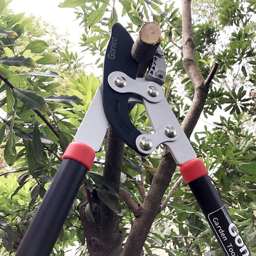 Gonicc Professional 30 inch SK-5 Steel Blade Anvil Lopper, 2-Inch Capacity, Sturdy Extra Leverage 22-Inch Handles, Garden Pruning Tree Hedge Branch Trimmer Clippers scissors.