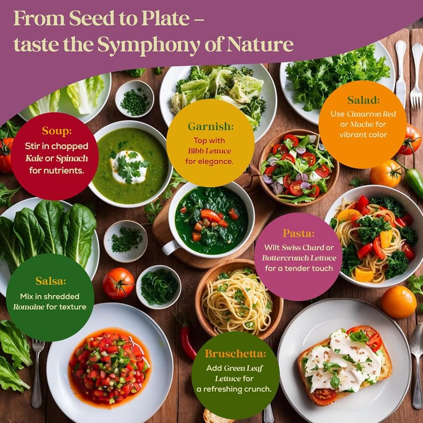 23 Lettuce & Salad Greens Seeds Variety Pack - 25,000+ Non-GMO Heirloom Greens Seeds for Planting Lettuce Indoor & Outdoor: Arugula, Mizuna, Kale, Spinach, Swiss Chard, Mache & More Lettuce Seeds