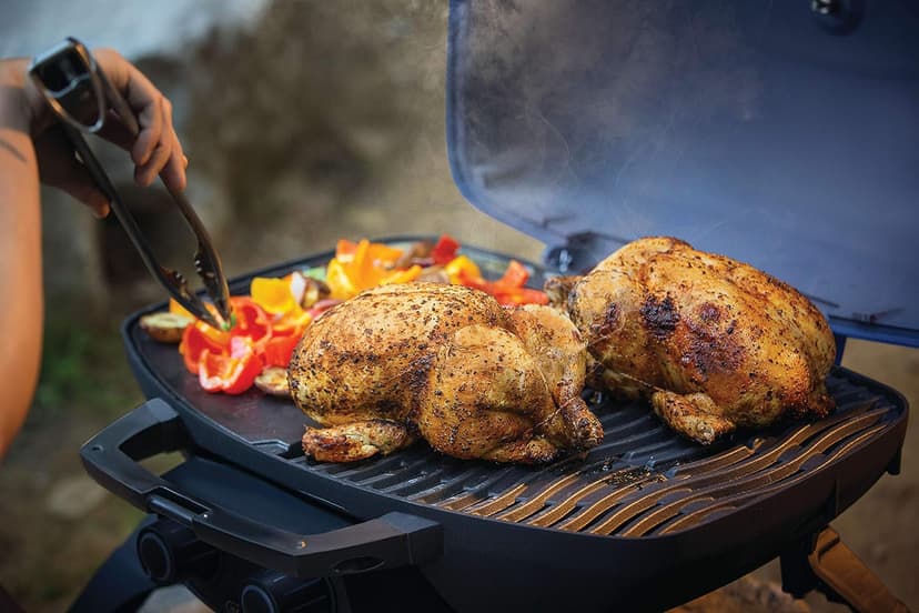 Napoleon TravelQ 285 Portable Propane Gas Grill, Blue - 2 Burners, For Tailgating, Camping, And Small Outdoor Spaces