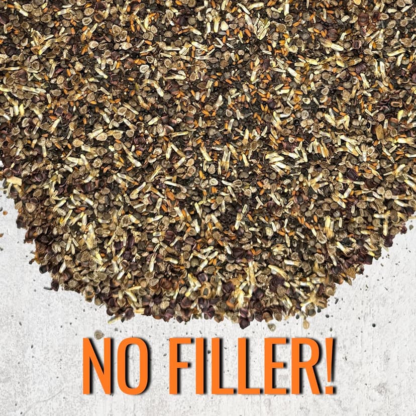 Seed Needs Partial Shade Wildflower Seed Mix for Planting | 1 Ounce 14+ Varieties Open Pollinated Annual & Perennial Species | Flower Seeds Shade Tolerant | Bulk
