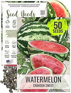 The 14 best watermelon seeds of 2025