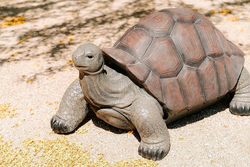 XBrand 28" L Brown and Black Concrete/MgO Walking Tortoise Statue, Indoor or Outdoor Décor, Garden Sculptures, Turtle Garden Statue
